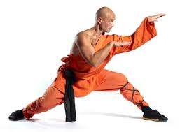 kung fu boxeo chino