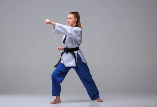 Protecciones de taekwondo 
